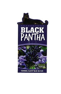 aga bla pan label.jpg